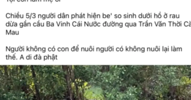 Cà Mau: Thi thể trẻ sơ sinh trôi trên sông Ba Vinh, công an đang xác minh nhân thân