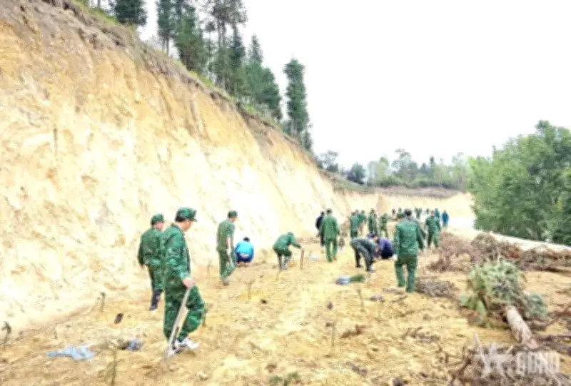 Cả nước đồng loạt hành động: Trồng cây biên giới, bảo vệ động vật hoang dã, xử lý rác thải