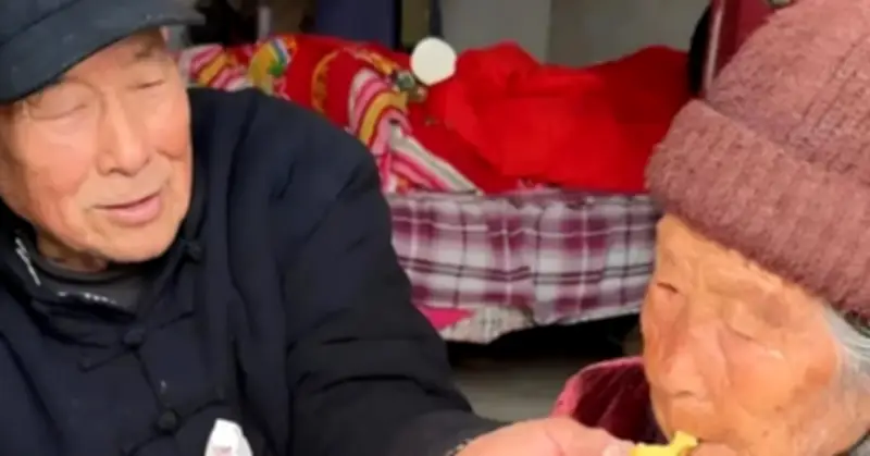 Cụ ông 92 tuổi ôm hamburger giữ ấm, vượt đường xa thăm chị gái 94 tuổi