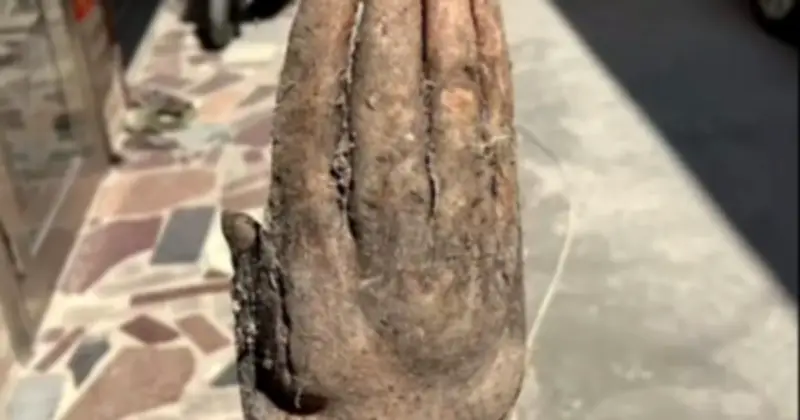 Cụ ông đào được củ khoai mỡ hình bàn tay người gây sốt mạng xã hội