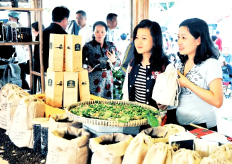 Cà Phê Việt Lập Kỷ Lục Xuất Khẩu 8,6 Tỷ USD, Arabica Lâm Đồng Vươn Tầm Thế Giới