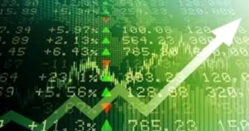 Cổ phiếu DGC phục hồi mạnh sau 7 phiên giảm sàn, VN-Index vượt 1.600 điểm