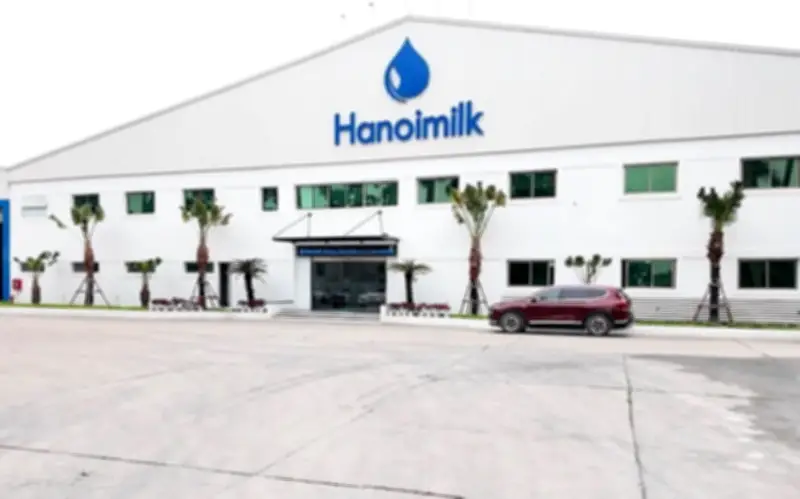 Cổ phiếu Hanoimilk tiếp tục 'chuyền tay' nội bộ: Kế toán trưởng bán toàn bộ, Trưởng Ban Kiểm soát mua vào