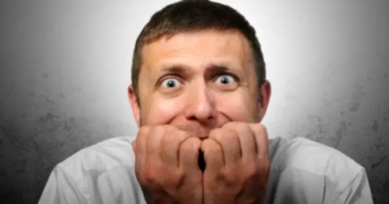 Cổ phiếu Vinaconex (VCG) tăng trần liên tiếp bất chấp tin lãnh đạo bị bắt