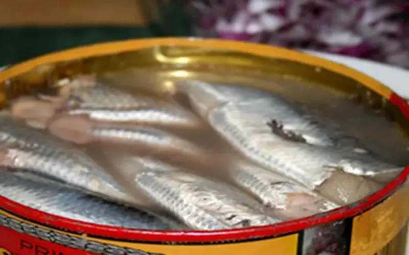 Cá Trích: Siêu Thực Phẩm Giàu Omega-3, Giá Bình Dân Tại Việt Nam