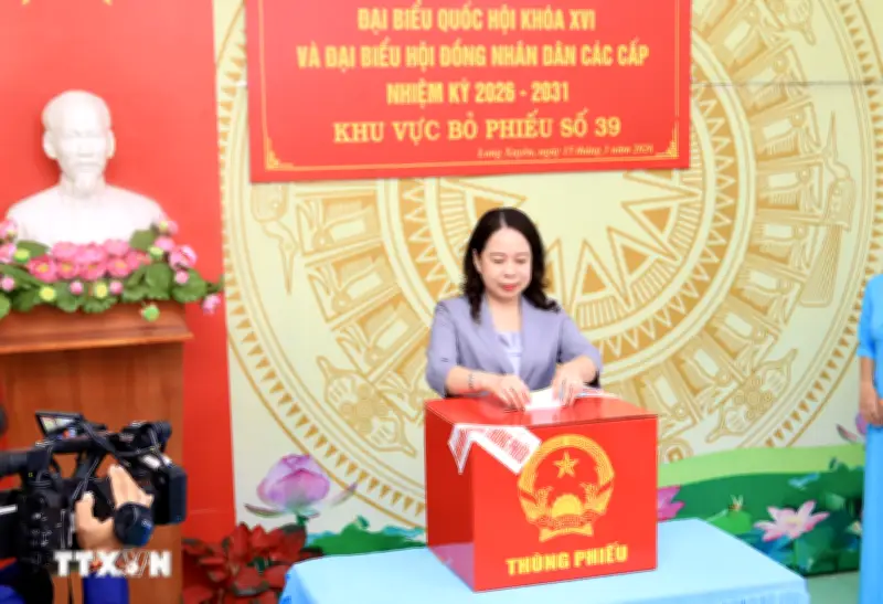 Cử Tri Cà Mau Và An Giang Nô Nức Tham Gia Ngày Hội Bầu Cử Toàn Dân