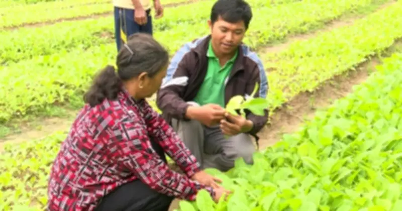 Cử Tri Gia Lai Trăn Trở Về Việc Làm, Kỳ Vọng Vào Ứng Cử Viên Quốc Hội