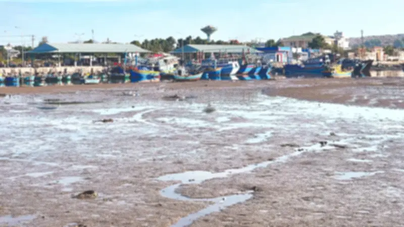 Cửa Biển 'Tử Thần' Bình Thuận: Nỗi Ám Ảnh Bồi Lắng Và Những Lời Hứa Nạo Vét Chậm Trễ