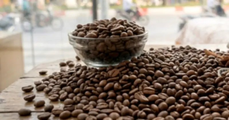 Caffeine trở thành 'công tắc' điều khiển gien, mở ra hy vọng điều trị ung thư và tiểu đường