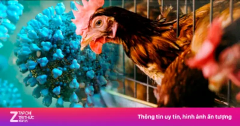 Campuchia ghi nhận bé trai 3 tuổi nhiễm cúm A/H5N1 sau khi tiếp xúc gia cầm ốm