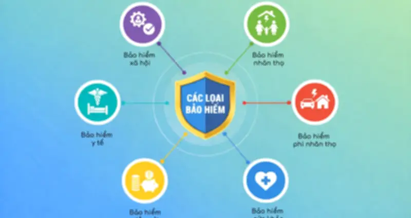 Các Loại Bảo Hiểm Thương Mại Phổ Biến: Từ Nhân Thọ Đến Sức Khỏe