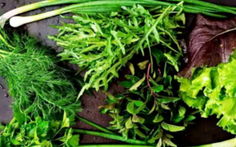 Các Loại Rau Gia Vị: Giải Pháp Tự Nhiên Bảo Vệ Tim Mạch Và Sức Khỏe Toàn Diện