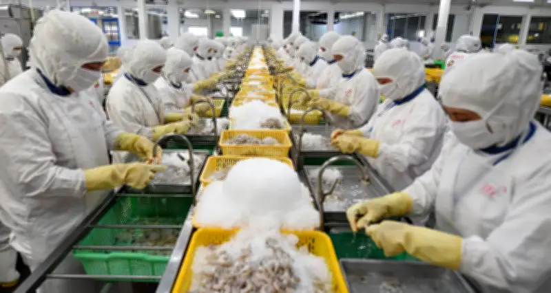 Cục Xuất nhập khẩu cảnh báo tác động từ xung đột Mỹ - Israel - Iran tới doanh nghiệp Việt