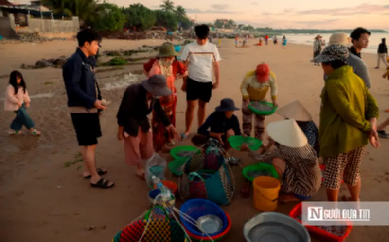 Chợ cá bình minh Mỹ Quang: Nhộn nhịp mùa mực tươi và hy vọng của ngư dân Đắk Lắk