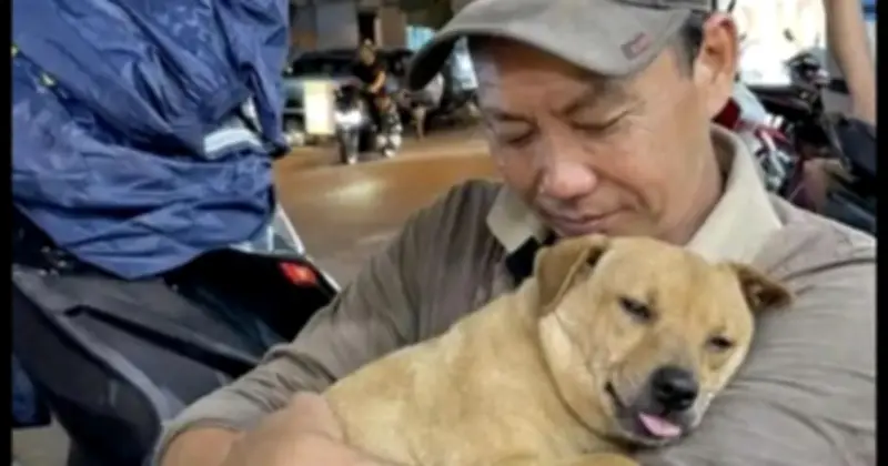 Chủ chó mừng rỡ đoàn tụ với cún cưng sau hơn 1 tháng lạc ở Gò Vấp