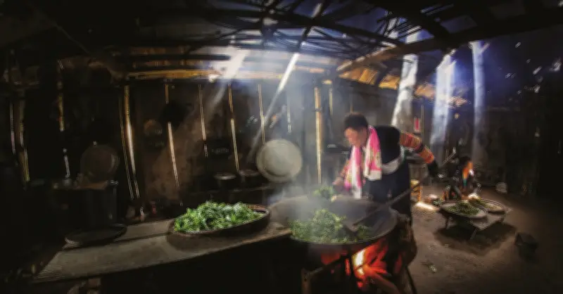 Chè Giàng Pang vươn ra thế giới, người Mông làm giàu trên mảnh đất quê hương