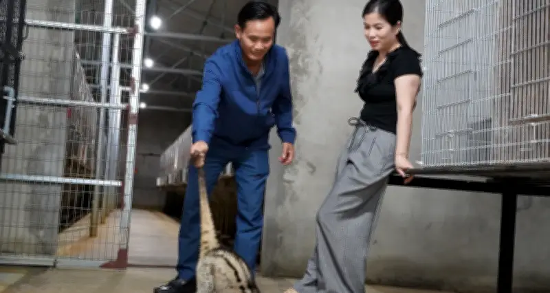 Chủ khách sạn Nghệ An đầu tư tiền tỷ nuôi chồn hương, thu lãi hàng tỷ đồng mỗi năm