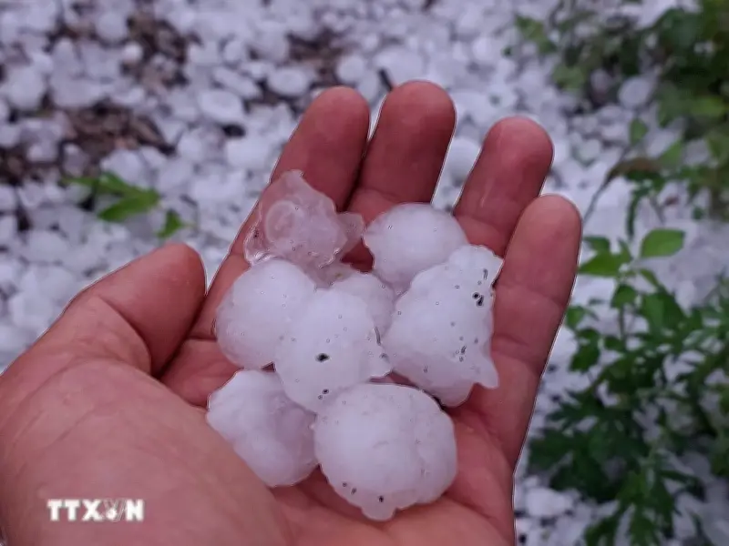 Chủ động ứng phó với dông lốc, sét và mưa đá trong thời kỳ chuyển mùa