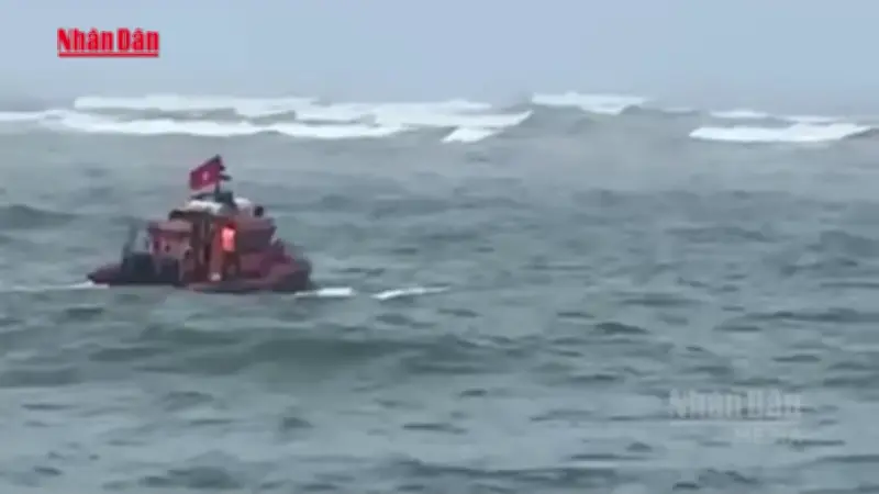 Chim Thuyền Quảng Trị: Một Ngư Dân Mất Tích Trong Chuyến Đánh Cá