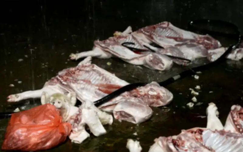 Chấn chỉnh toàn quốc hoạt động giết mổ, ngăn chặn lợn bệnh ra thị trường