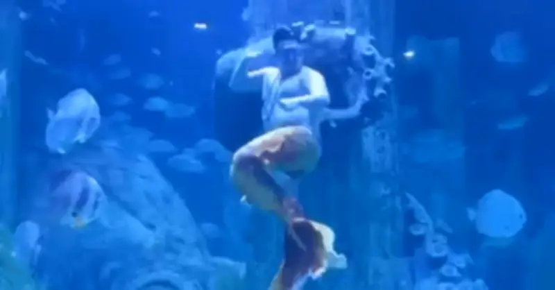 Chàng Tiên Cá 'Bụng Bự' Gây Sốt Ở Nha Trang: Từ Thợ Lặn Thành Ngôi Sao