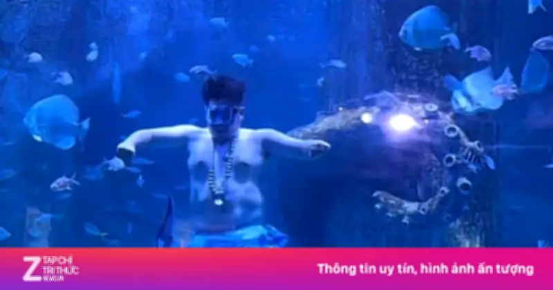 Chàng tiên cá béo biểu diễn khoe cơ bụng 1 múi tại thủy cung Nha Trang