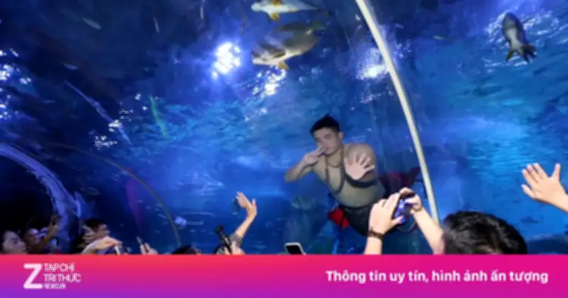 Chàng 'Tiên Cá Béo' Lê Nguyên Phong Gây Sốt Tại Thủy Cung Nha Trang