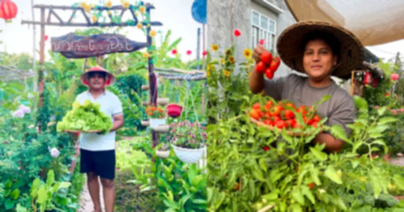 Chàng trai trẻ bỏ phố về quê, xây dựng ốc đảo xanh từ đam mê và sự kiên nhẫn