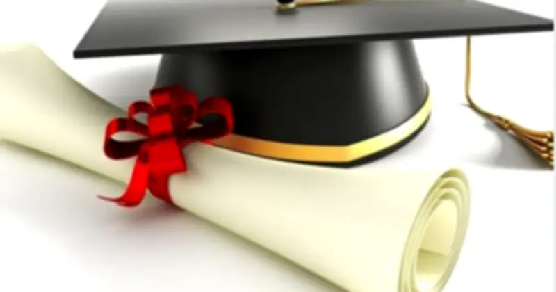 Chính phủ quy định rõ về danh hiệu tiến sĩ và giáo sư danh dự từ 2026