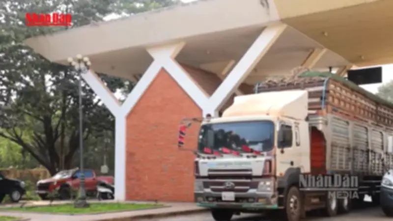 Chính phủ yêu cầu Bộ Y tế khẩn trương kéo dài tạm ngưng quản lý an toàn thực phẩm