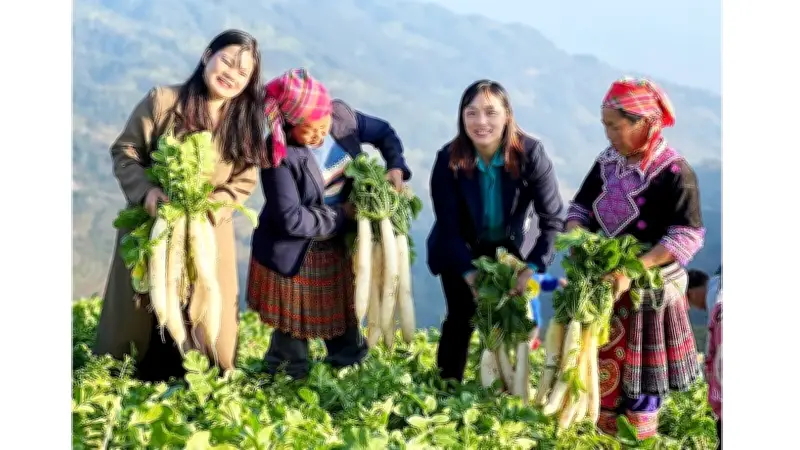 Chính sách phát triển vùng dân tộc thiểu số và miền núi phía Bắc đơm hoa kết trái