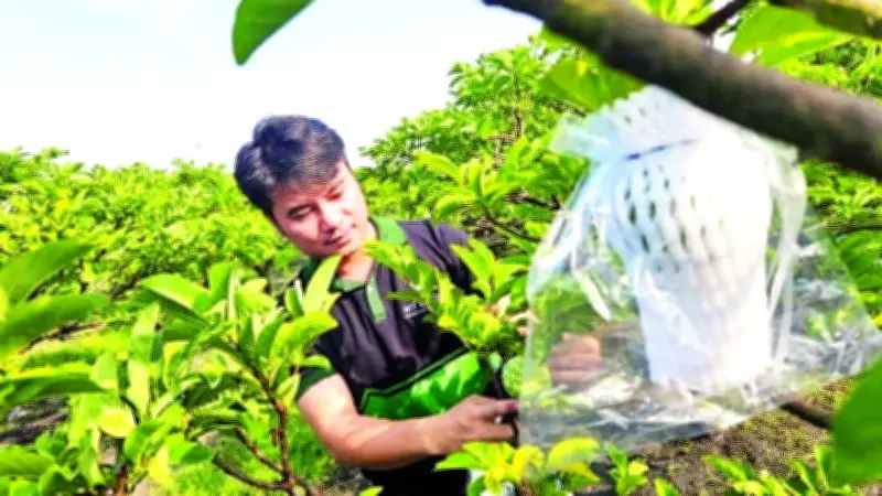 Chính sách thuế và tiền tệ tạo 'điểm nghẽn', hợp tác xã Tây Ninh kêu cứu