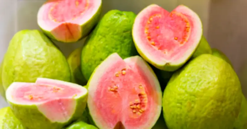 Chất xơ: 'Chìa khóa vàng' cho sức khỏe tiêu hóa và tim mạch từ Mayo Clinic