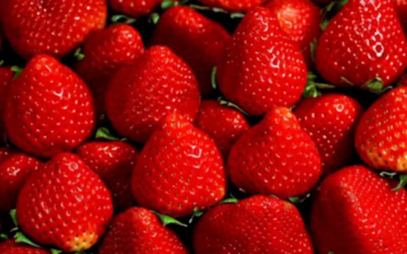 Chuyên gia dinh dưỡng khuyến nghị thực phẩm tốt cho người bệnh thận