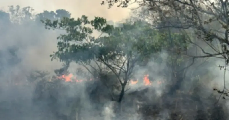 Cháy lớn gần Ký túc xá Đại học Quốc gia TP.HCM do đốt rác, lực lượng PCCC khống chế