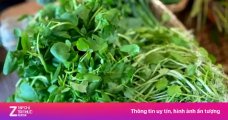Cải Xoong: Từ Cỏ Dại Đến Thần Dược Bảo Vệ Gan Trong Bữa Ăn Hàng Ngày