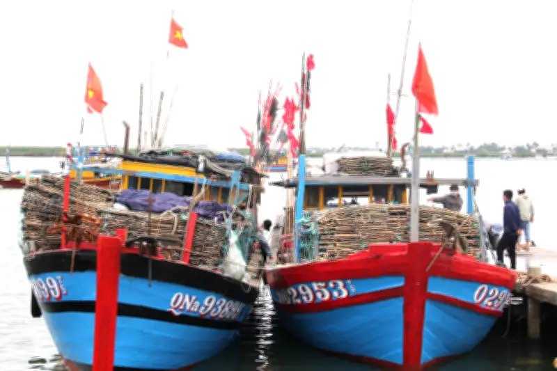 Cấm tàu cá hoạt động nếu chưa hoàn tất thủ tục chuyển nhượng