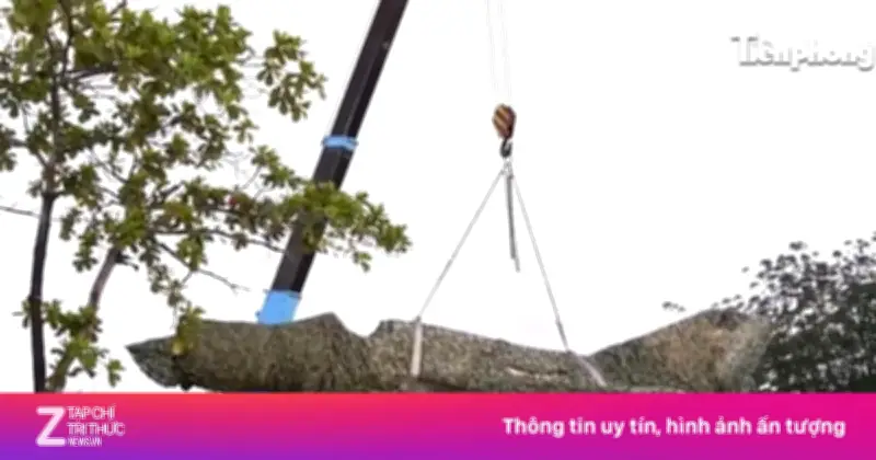 Cận cảnh di chuyển chiếc máy bay Mig21 bị 'bỏ quên' tại Cà Mau trong đêm