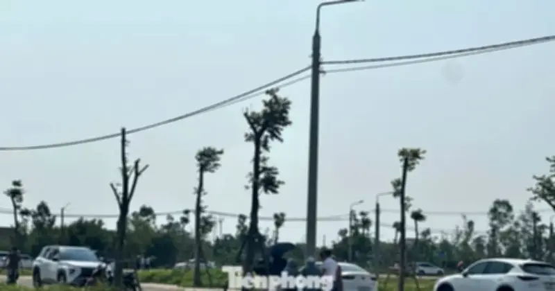 Cơn sốt đất bất thường ở Hà Tĩnh: Ô tô đậu kín đường, giá đất tăng vọt