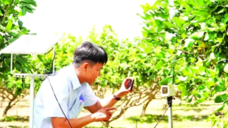 Cần Thơ cảnh báo xâm nhập mặn nghiêm trọng mùa khô 2026, đe dọa nông nghiệp