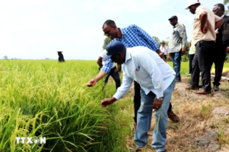 Cần Thơ hợp tác chia sẻ kinh nghiệm chuyển đổi nông nghiệp với Zambia