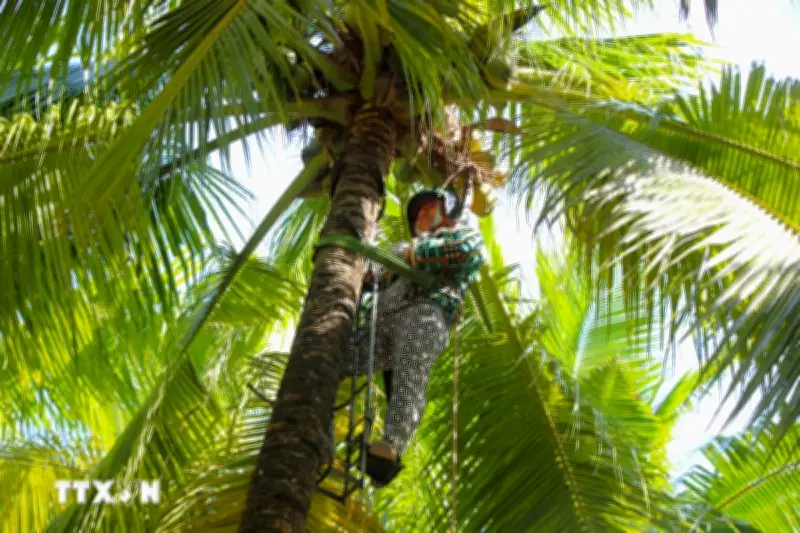 Cần Thơ phát huy lợi thế sông nước, xây dựng sản phẩm du lịch sinh thái đặc thù