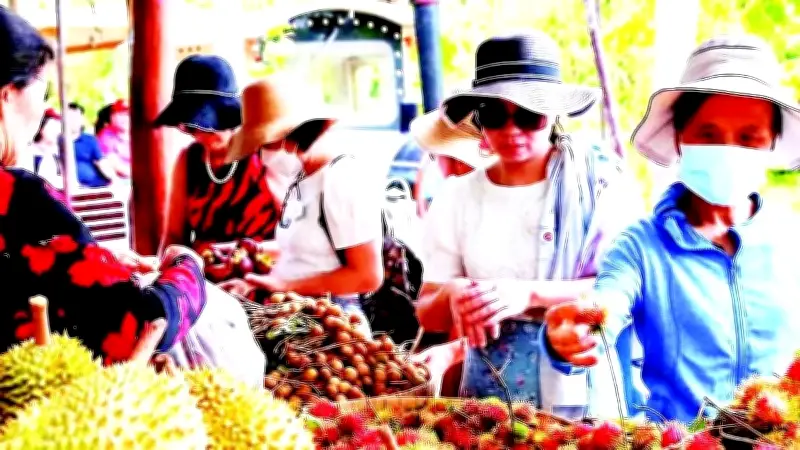 Cần Thơ Số Hóa Nông Nghiệp: Từ Vườn Mận Đến 'Hộ Chiếu' Trái Cây