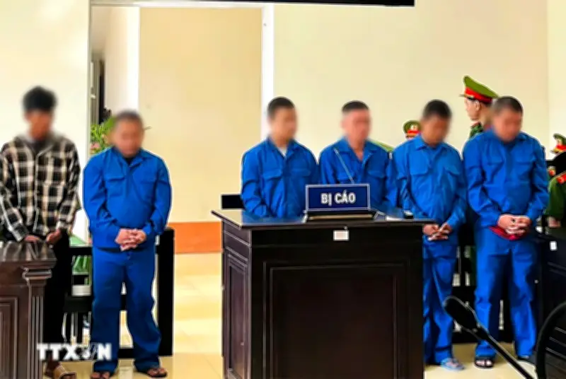 Cần Thơ: Tuyên án nhóm đối tượng thực hiện hàng loạt vụ cướp để mua ma túy