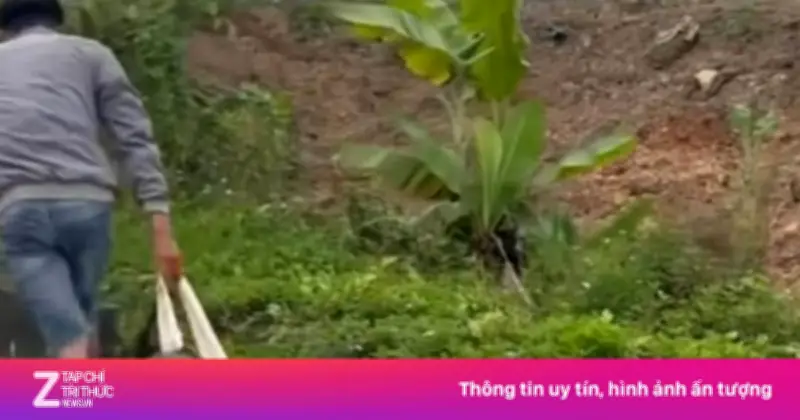 Công An Hải Phòng Xác Minh Vụ Cô Gái Bị Nam Thanh Niên Kéo Lê Trên Đường