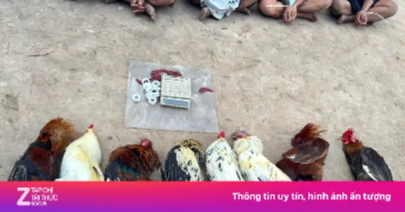 Công an TP.HCM triệt phá hai vụ đánh bạc lớn, thu giữ nhiều tang vật