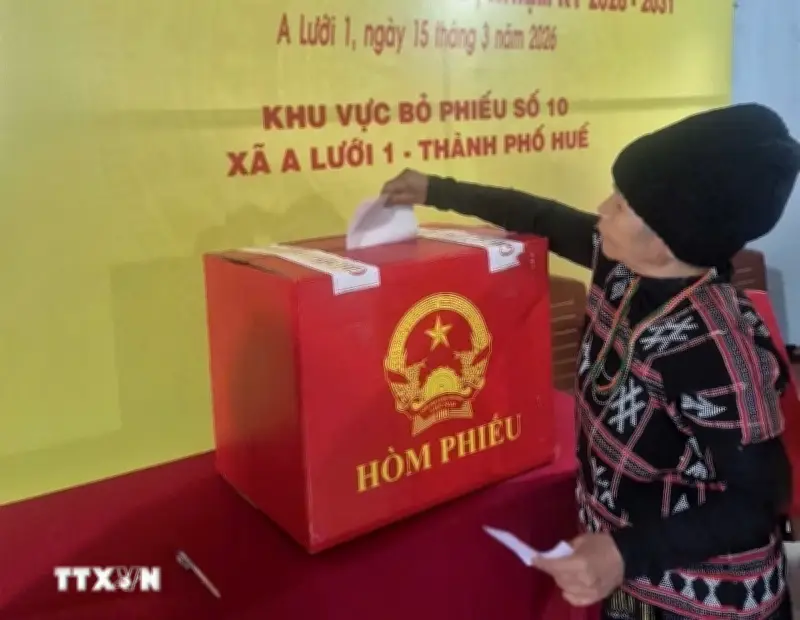 Công bố kết quả bầu cử đại biểu HĐND thành phố Huế khóa IX