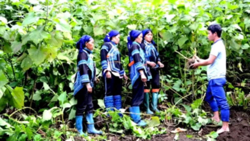 Củng cố hệ thống chính trị vùng dân tộc thiểu số: Đào tạo cán bộ và phát huy người có uy tín