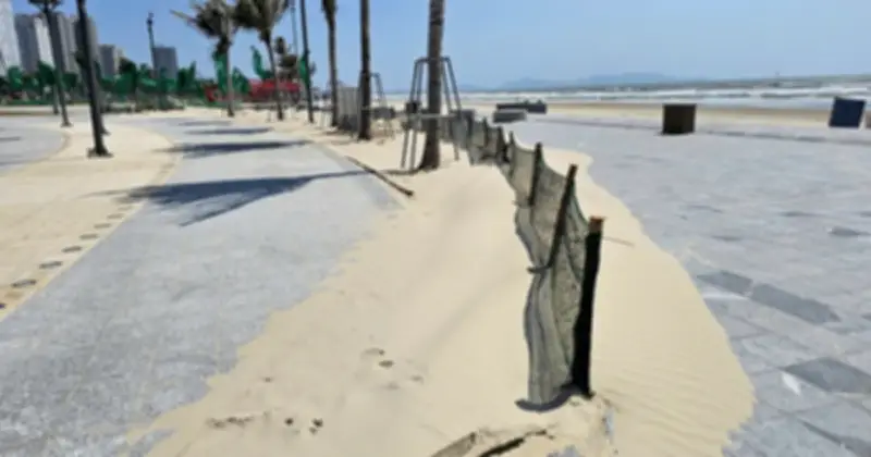 Công Viên Bãi Sau Ngập Cát Biển Do Gió Chướng, Đe Dọa Mỹ Quan Và Cây Xanh