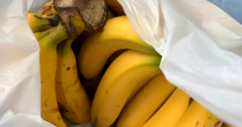 Cảnh báo: 5 loại trái cây ăn khi đói phá dạ dày không kém rượu bia